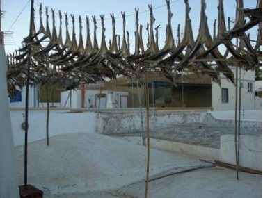 Peixe a secar pendurado em arames sobre uma açoteia branca, com casas brancas ao fundo.