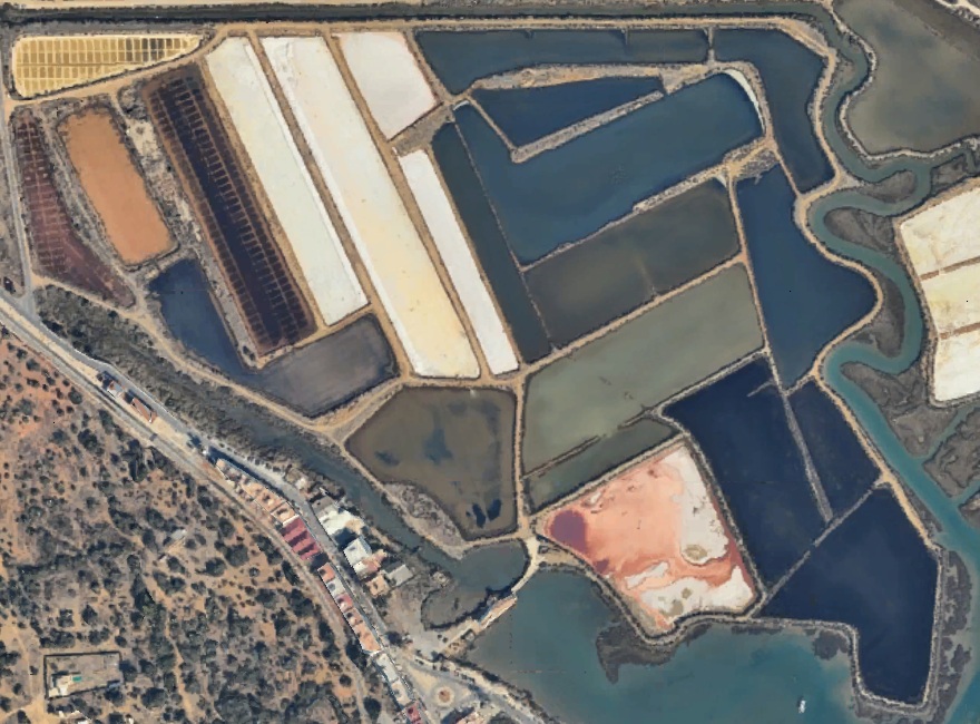 Vista de satélite das salinas: tanques retangulares de várias cores entre canais da ria, com uma estrada e casas junto à margem.