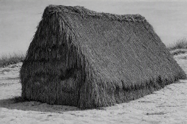 Fotografia antiga a preto e branco de uma cabana de colmo com telhado de duas águas, assente na areia junto a vegetação rasteira.