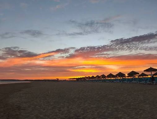 Pôr do sol na praia, com o céu em tons de laranja e rosa e uma fila de chapéus-de-sol de colmo em silhueta sobre o areal escuro.