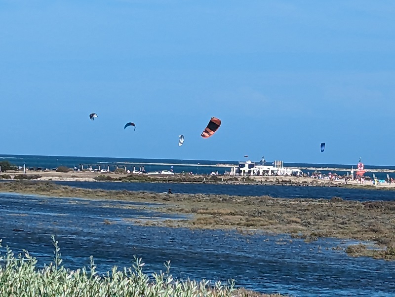 Várias asas de kitesurf no céu sobre a ria, com areal, chapéus de sol e banhistas ao fundo e bancos de algas a descoberto em primeiro plano